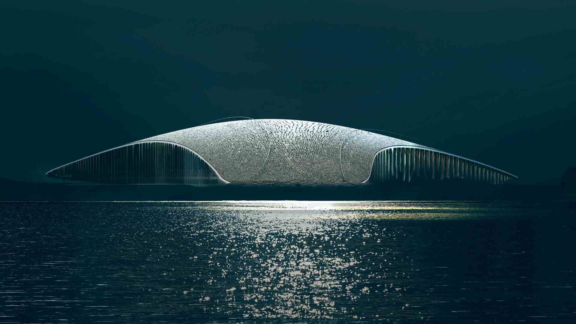 Whale experience scene