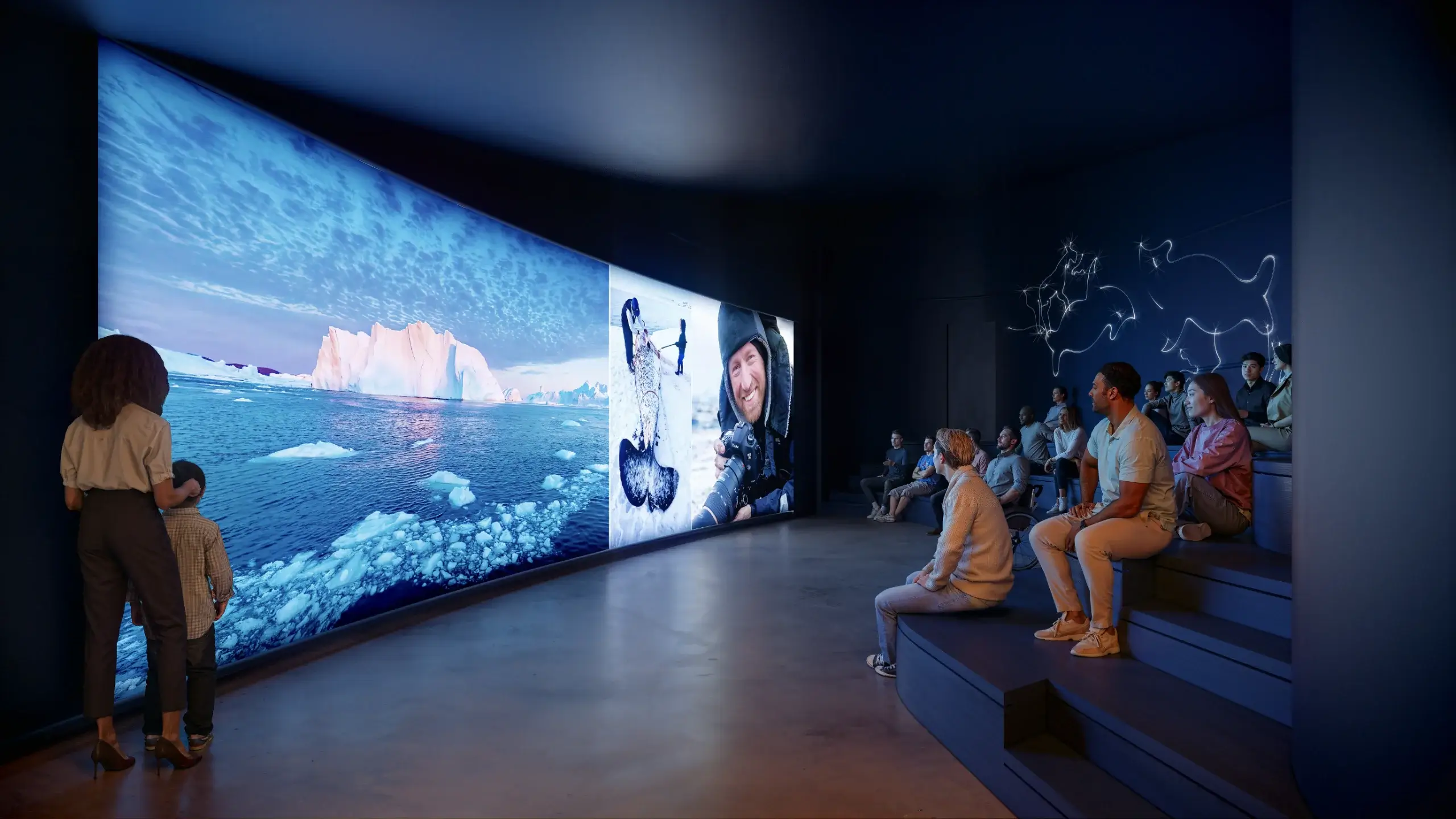 Whale experience moment