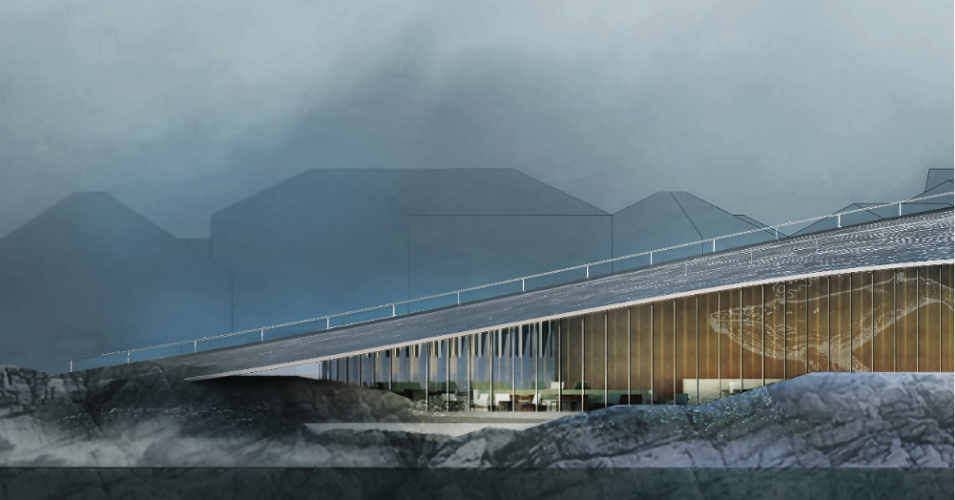 Whale experience detail