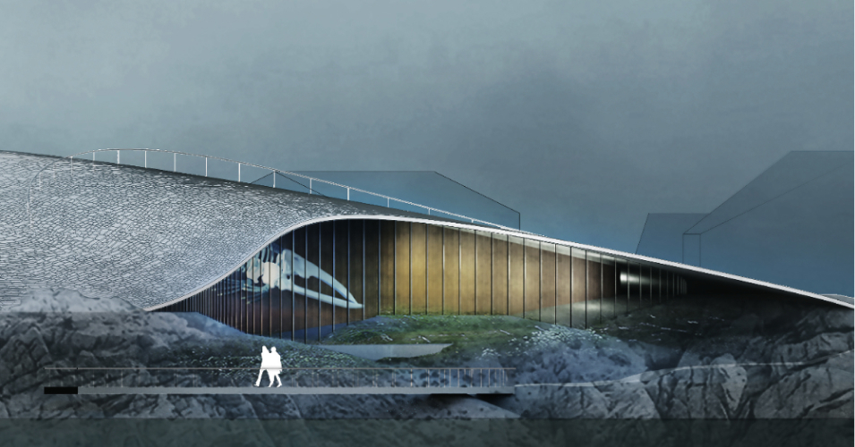 Whale experience detail