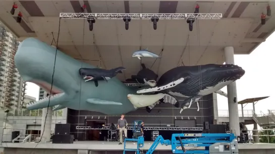 Launch of the Next Phase