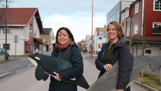 Two people stand on a crosswalk on a quiet street, holding large whale-shaped models near red wooden buildings.