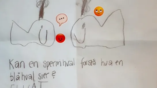 Pencil drawing of two whales with emoji stickers above, and handwritten Norwegian text on white paper.