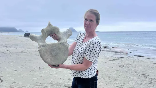 Person standing on a sandy beach holding a large bone, with ocean waves, driftwood, and cloudy sky behind.