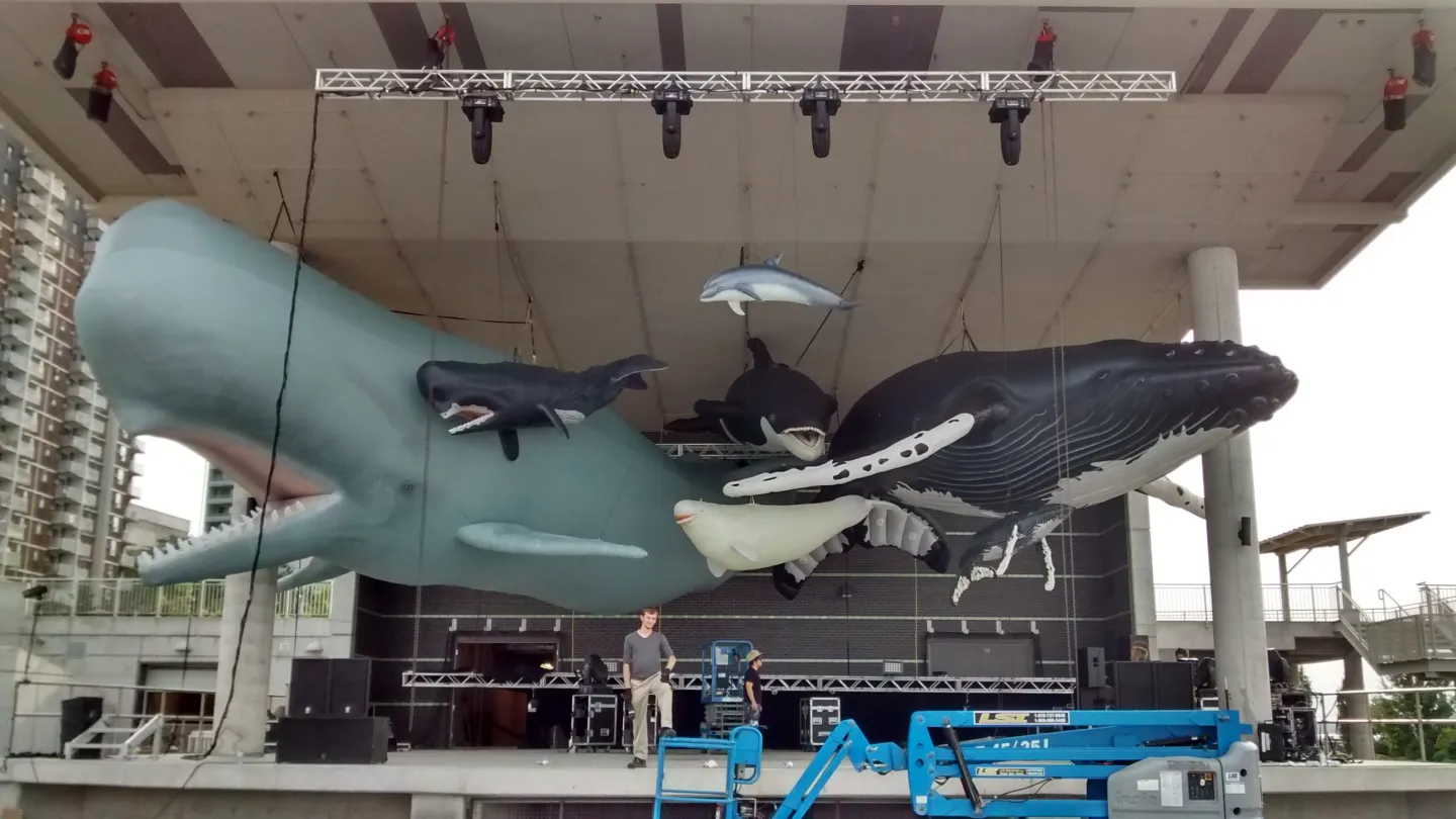 Launch of the Next Phase