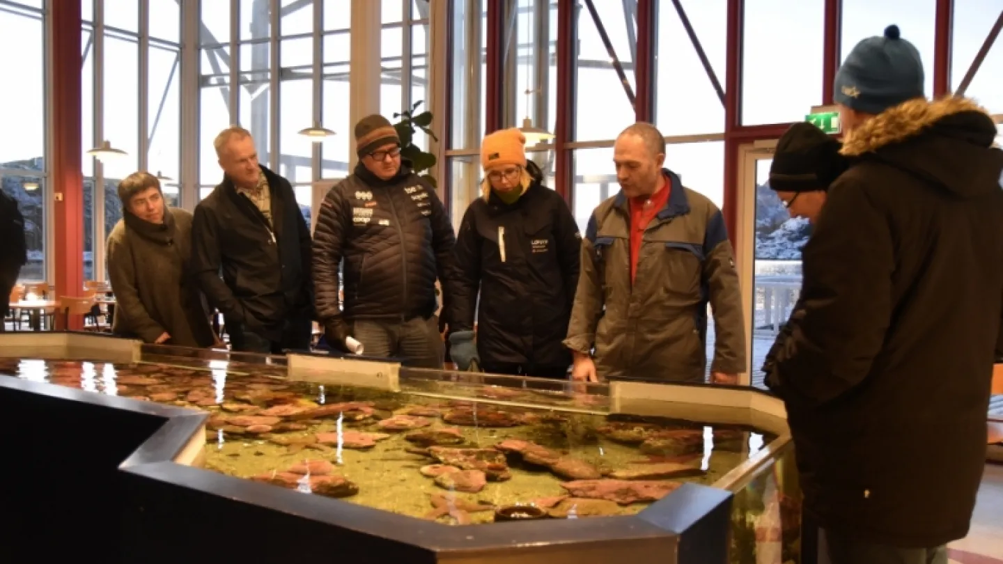 A group in winter jackets stands around a large aquarium tank in a bright indoor space with tall windows.