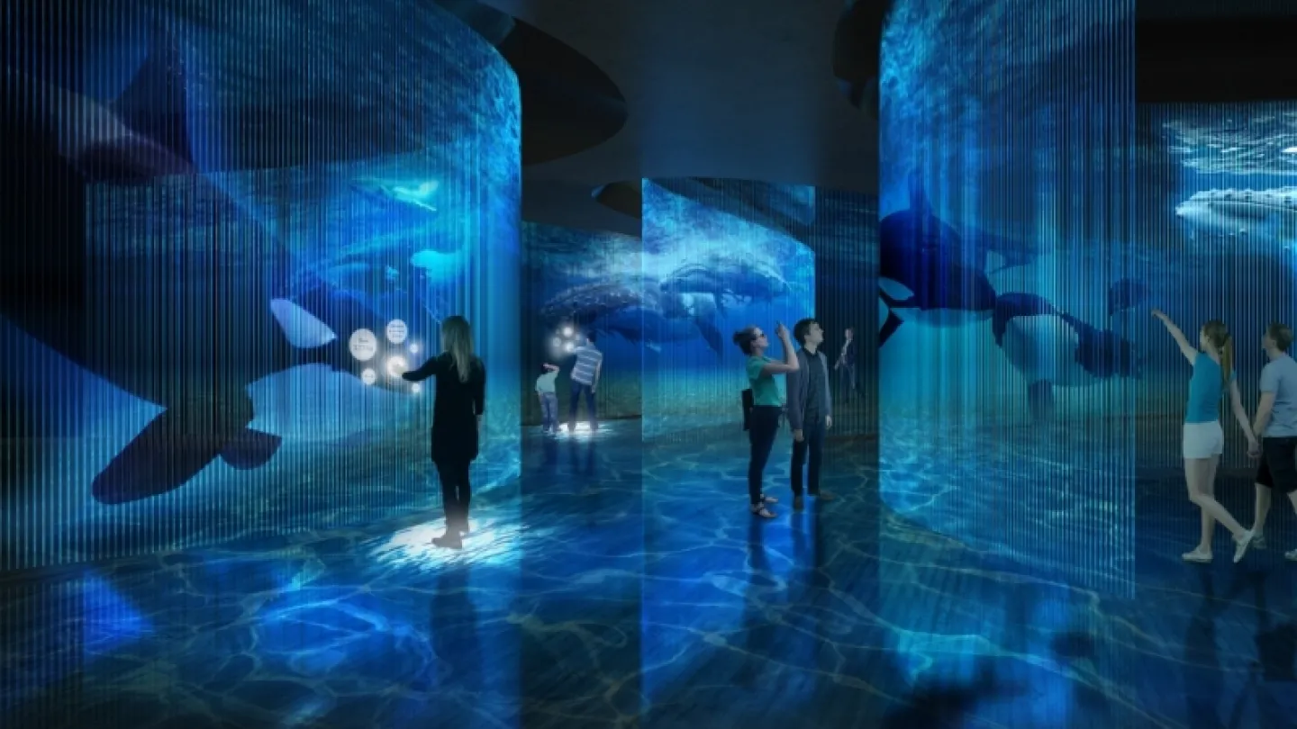 People stand in a dark gallery surrounded by blue ocean projections with whales and rippling water on walls and floor.
