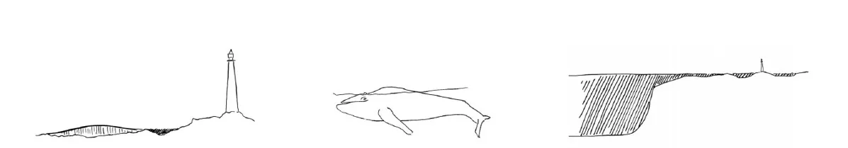 Three black line drawings: a shoreline with a lighthouse, a whale in profile, and a coastal cliff cross-section.