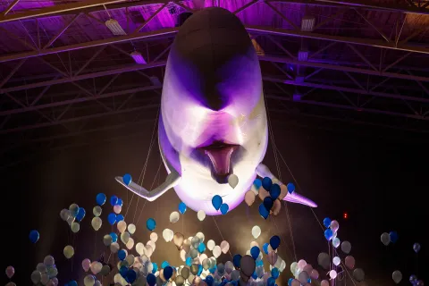 A large suspended inflatable whale lit in purple hangs indoors above clusters of blue and white balloons.