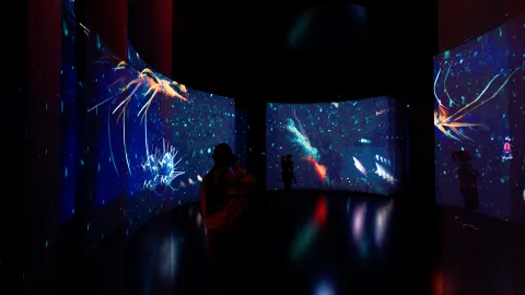 Silhouetted visitors stand in a dark room with curved screens showing colorful underwater creatures and floating particles.