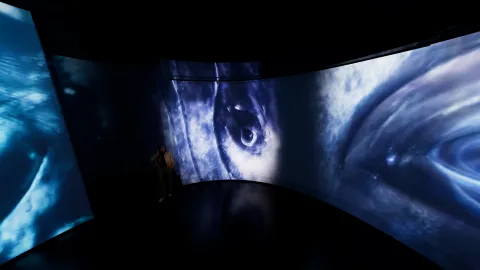 Dark gallery space with curved walls covered in blue ocean imagery, featuring a close-up of a marine animal eye.