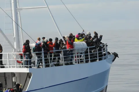 A group of bundled-up passengers stand on the bow deck of a white ship, looking outward over calm water.