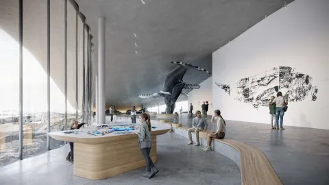 Spacious modern gallery with tall glass windows, an interactive table, curved benches, and a suspended whale.