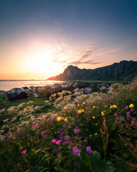 Sunset over a seaside village with mountains in the background, calm water, and a foreground meadow of wildflowers.