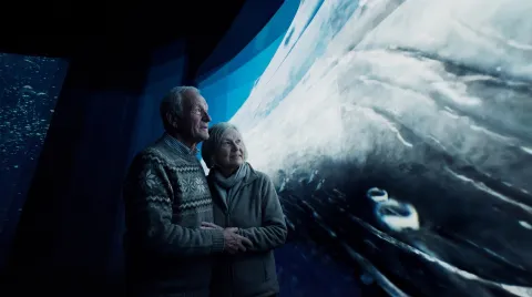 Two adults stand close together in a dim aquarium tunnel beside a large viewing window with a swimming whale.