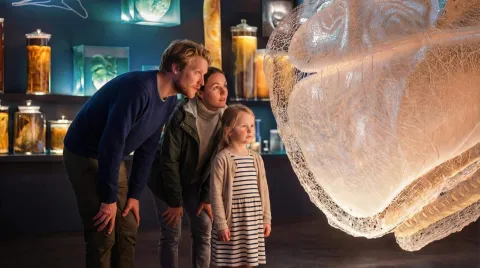 Two adults and a child stand in a museum gallery with specimen jars, looking at a large illuminated heart model.