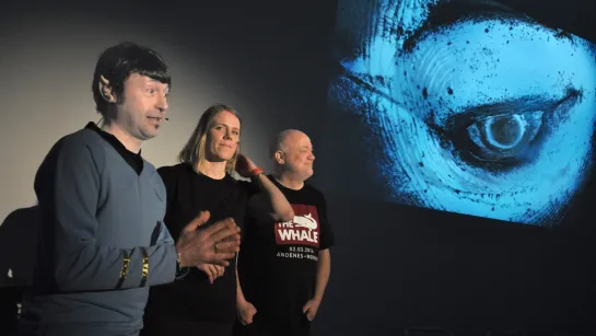 The Whale Kick-Off