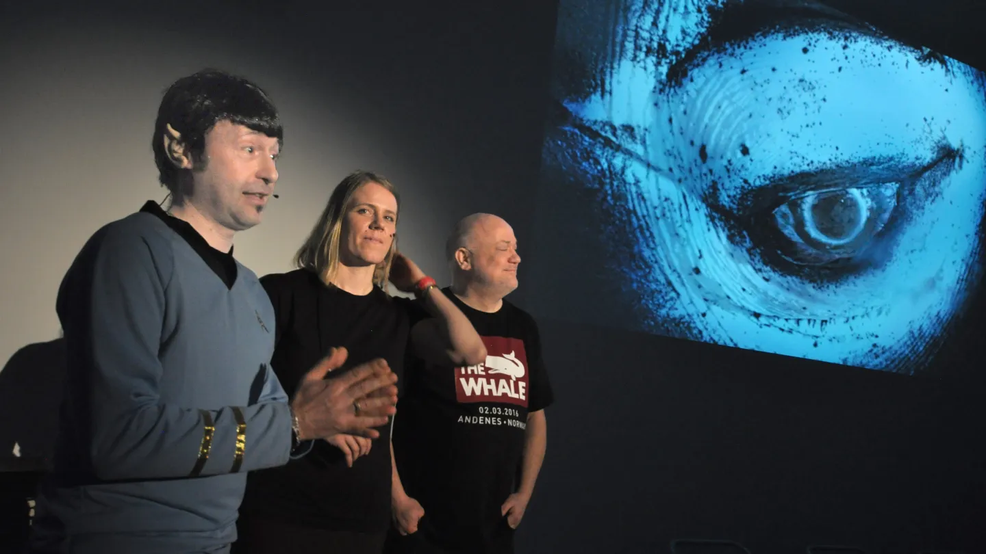 The Whale Kick-Off