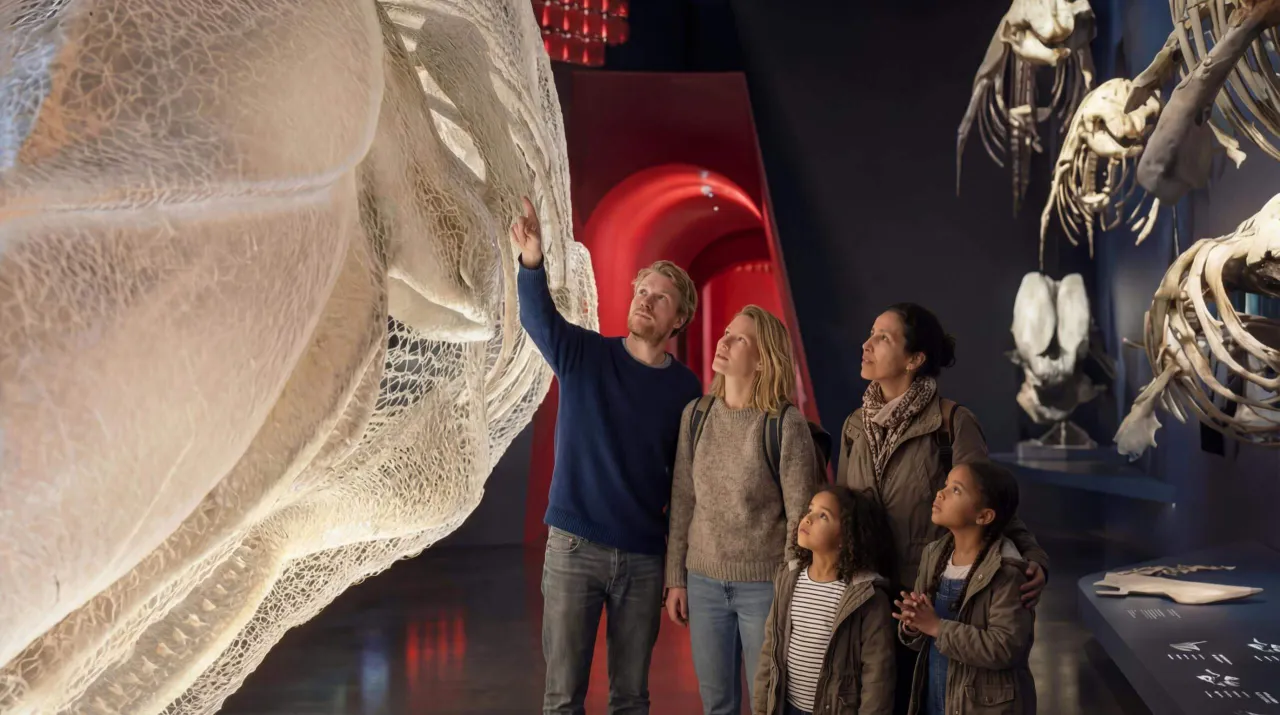 Group of visitors in a museum standing beside a large whale skeleton, with other animal bones displayed nearby.