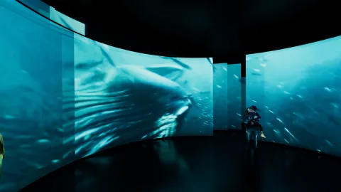 Curved screens in a dark gallery show an underwater whale scene as a visitor stands near the right side.