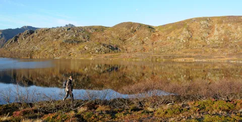 A lone hiker walks along shrubs beside a calm lake reflecting rocky hills under a clear blue sky.