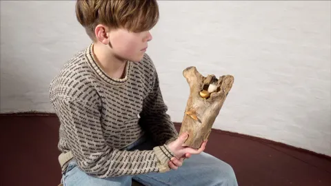 Seated child in a patterned sweater holds a driftwood piece with small objects embedded, against a plain wall.
