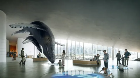 A large suspended whale model inside a spacious modern gallery with visitors, benches, and tall windows facing mountains.